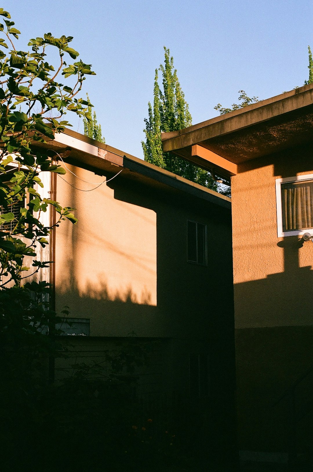 Modern Forest Retreat